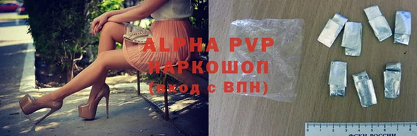 сатива Баксан