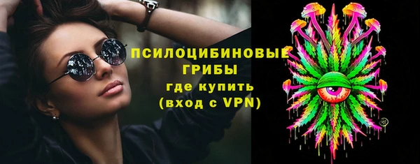 гидра Балахна