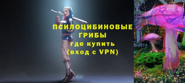 гидра Балахна