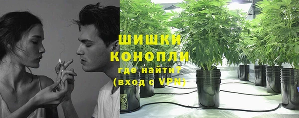 гидра Балахна
